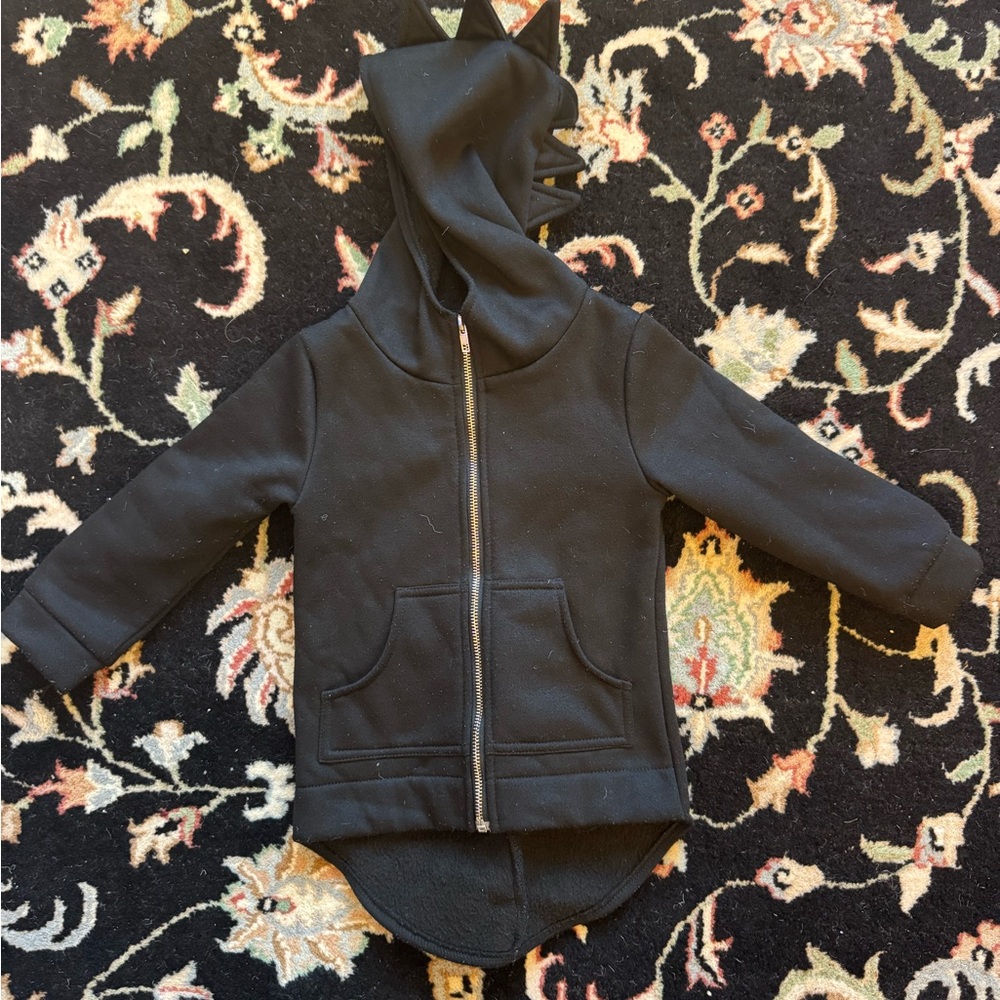Black Kids Hoodie with Dinosaur Spikes